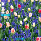 Plakát Nyomtatás Minden méretben!